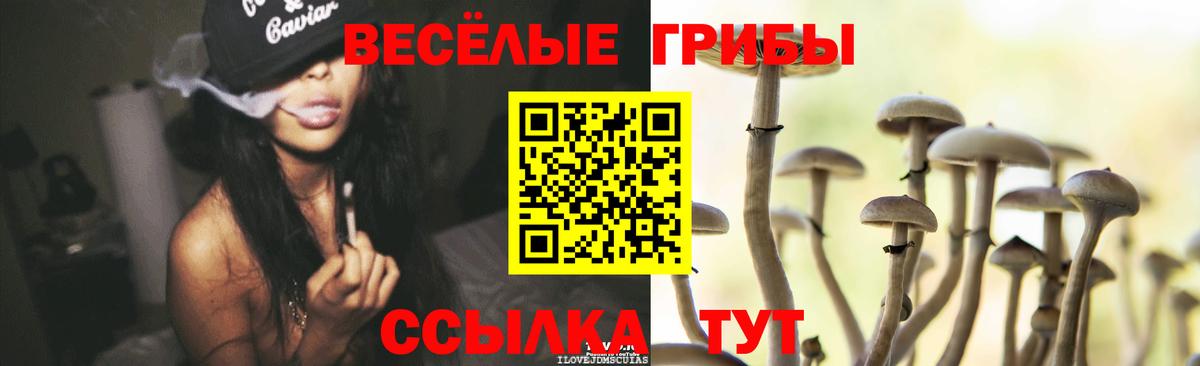 купить   Вход с VPN  Псилоцибиновые грибы ЛСД  Сунжа  Галлюциногенные грибы Magic Shrooms 